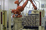 Single cell Robotic Palletising