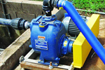 Piggery reduces both maintenance time and costs with new wastewater pumps