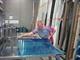 WRS Temporary Glass Protection Film