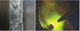 Welding Software Solutions - WiseFusion