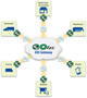 B2B, Online Automatic Ordering System - GoFar Xchange