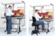 ability to adjust posture from sitting to standing